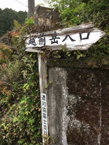 千束から越前岳 (77)