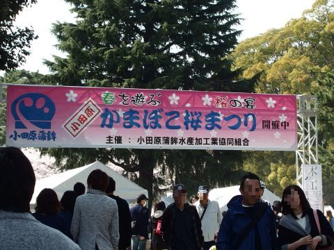 小田原城址公園で「かまぼこ桜まつり」が開催されていました。