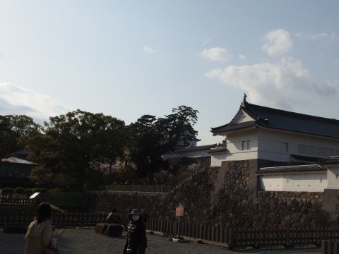 小田原城址公園の端のほうに歩いてきましたがここからも小田原城がチラッと見えます。
