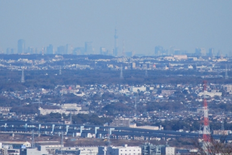 湘南平から見えた　東京スカイツリー・東京タワー・横浜ランドマークタワー （３）