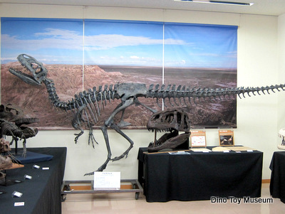 岡山理科大学　恐竜学博物館