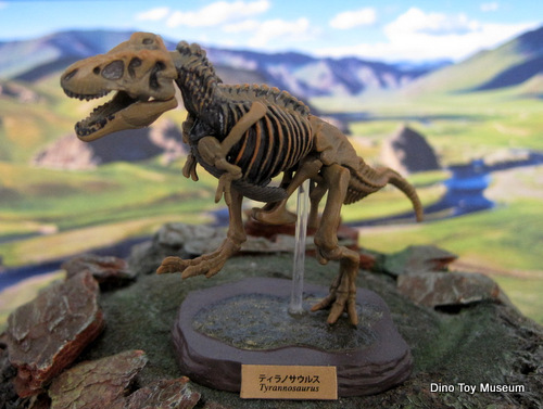 193号室-02　恐竜全身骨格展示室　ティラノサウルス