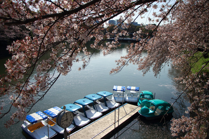 180331_Chidorigafuchi_Boat-Dock.jpg