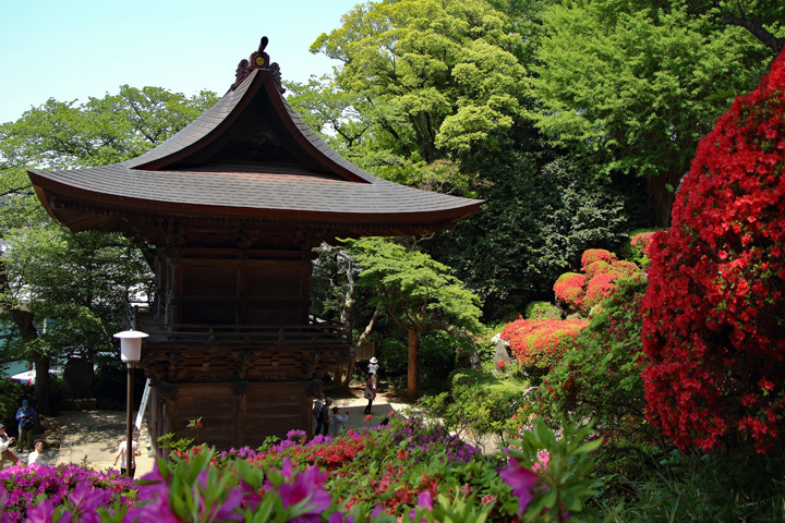 180422_Togakuin-Temple_Gate.jpg