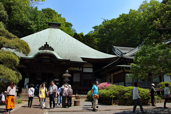 180422_Togakuin_Main-Temple.jpg