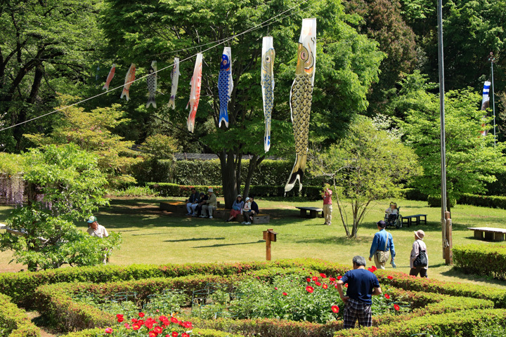 180428_Machida-Peony-Garden.jpg