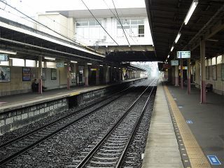 tsuruga10shima06.jpg