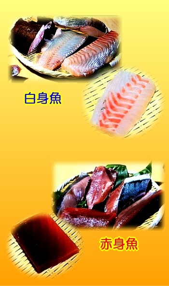 白身魚と赤身魚