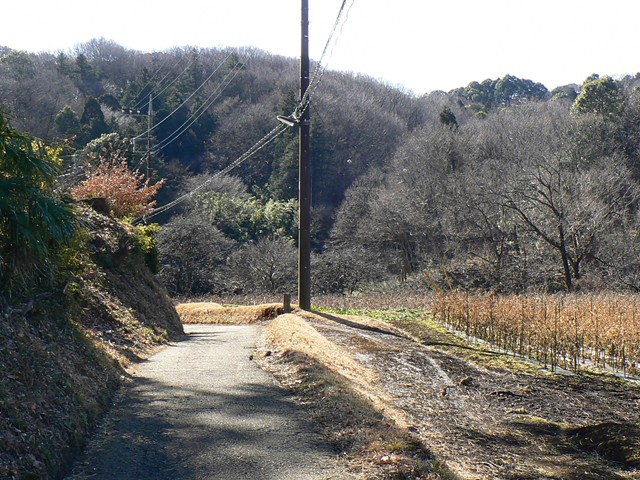 里山の道６