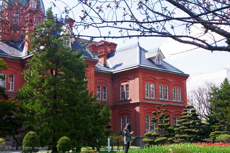 春の旧道庁赤煉瓦庁舎前の庭園２