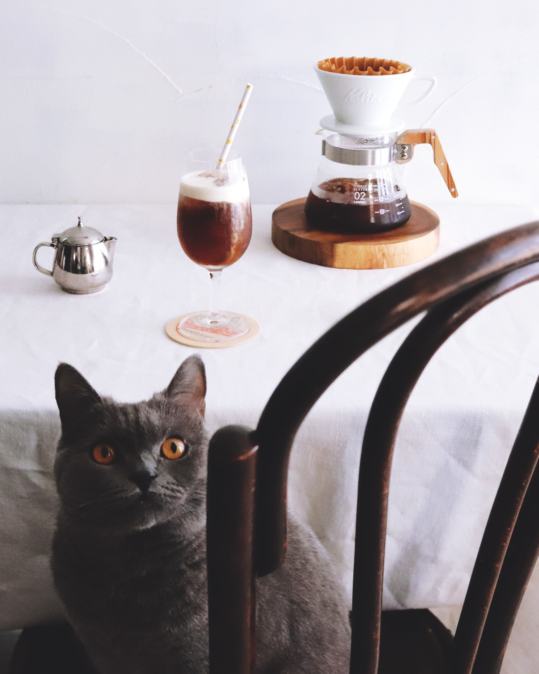 Coffee & Cat