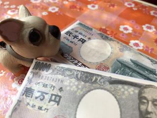 どうなってるんだろう、弐千円札って？