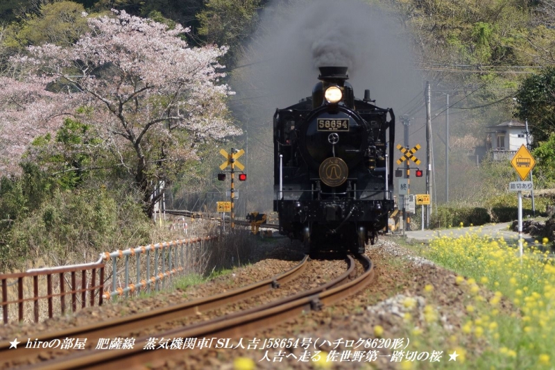hiroの部屋　肥薩線　蒸気機関車「ＳＬ人吉」58654号（ハチロク8620形）人吉へ走る 佐世野第一踏切の桜