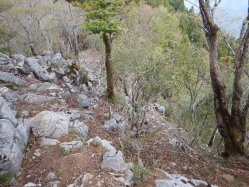 稜線沿い-トラロープの設置