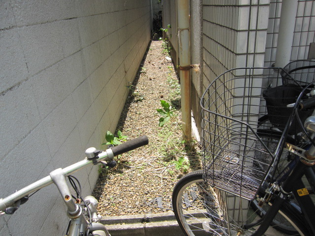 東京都練馬区　賃貸物件４階建てアパート共用部定期清掃　建物周り草　作業前　１