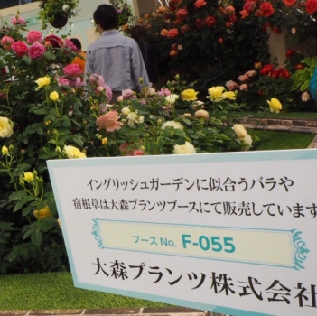 国際バラとガーデニングショウ2018 大森プランツ 栃木県那須町 コピスガーデン coppicegarden ブログ