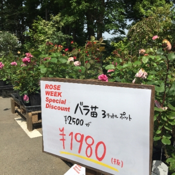栃木県那須町 コピスガーデン coppicegarden ブログ バラ セール