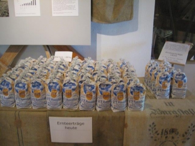 現在１００ｋｇの小麦粉がとれる同じ面積の麦畑から1828年当時は８ｋｇの小麦粉しか生産されなかったって、、、、。