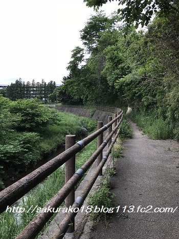 2018-05-27散歩3