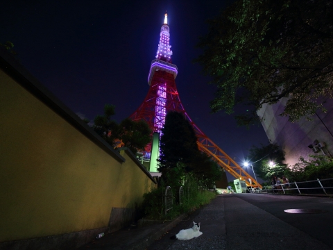 「戦後７０年　鎮魂と平和の祈り」東京タワー特別ライトアップ