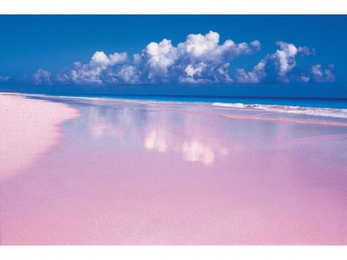 世界の綺麗な景色 ピンク色に染まった絶景ビーチ 世界の綺麗な景色 絶景 画像で旅気分