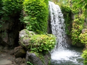 中国庭園の滝