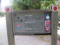 加茂山公園の雪椿園案内図