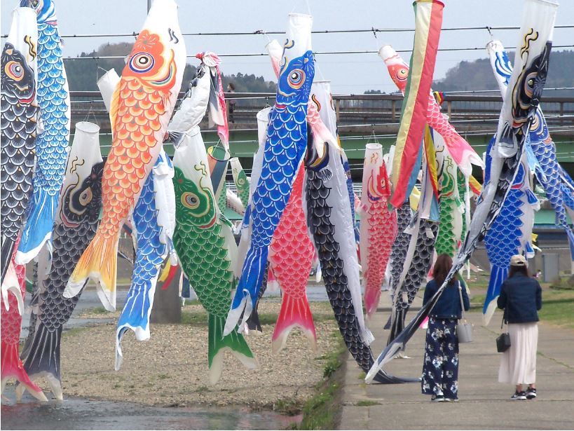 加茂川の鯉のぼり-4
