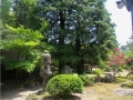 日本庭園-1